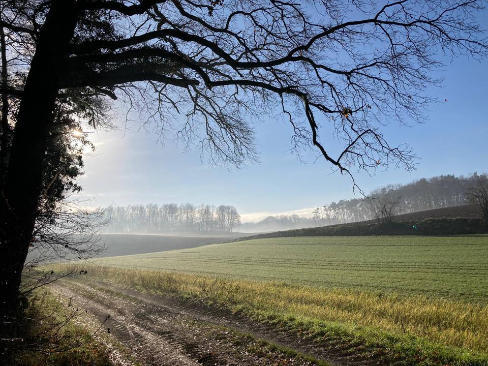 Photo du Libel de Hèze